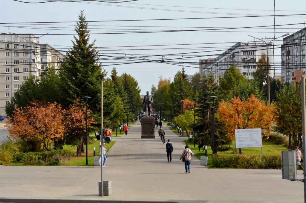 На фотографии представлены