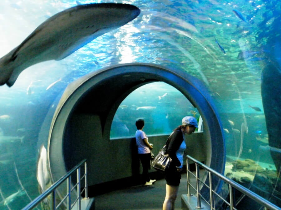 Казанский океанариум фото снаружи и внутри
