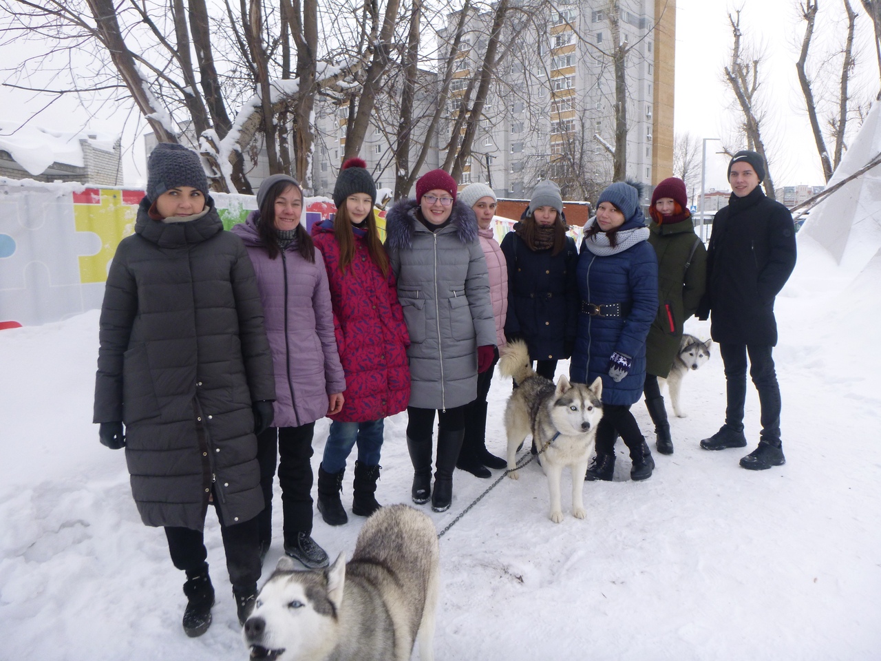 Экскурсия в Хаски парк из Йошкар-Олы