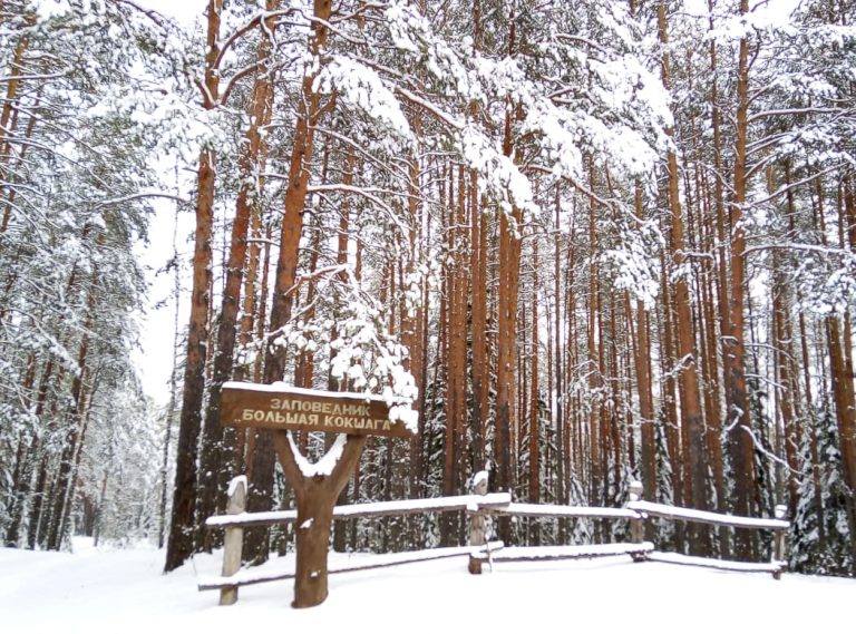 Заповедник Большая Кокшага