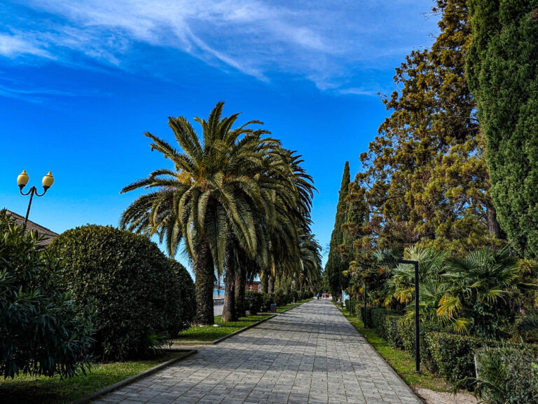 Зимнее путешествие в Абхазию